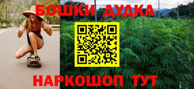 Альфа ПВП Можга