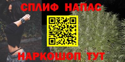 Альфа ПВП Можга