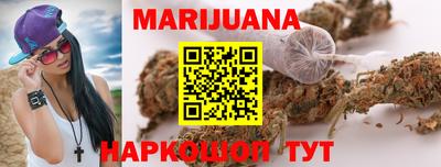 Альфа ПВП Можга