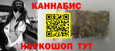 Альфа ПВП Можга