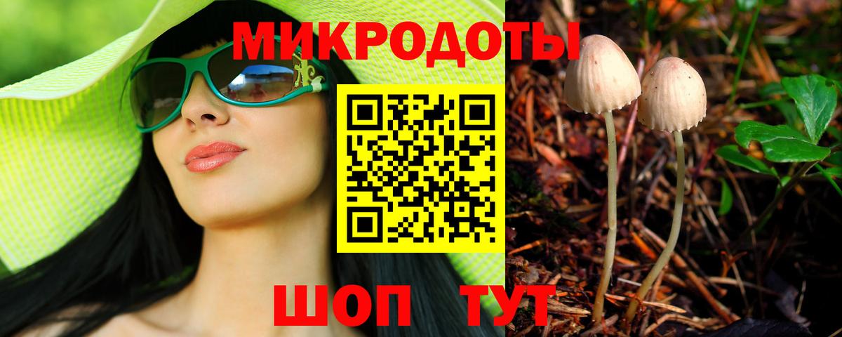 Чусовой  Галлюциногенные грибы MAGIC MUSHROOMS  Вход с VPN 