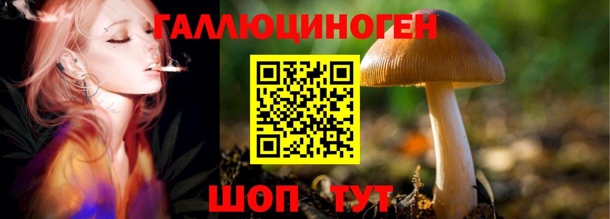 Галлюциногенные грибы GOLDEN TEACHER Чусовой